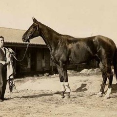 phar lap (leif sherman curtis)