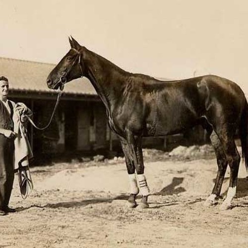 phar lap (leif sherman curtis)