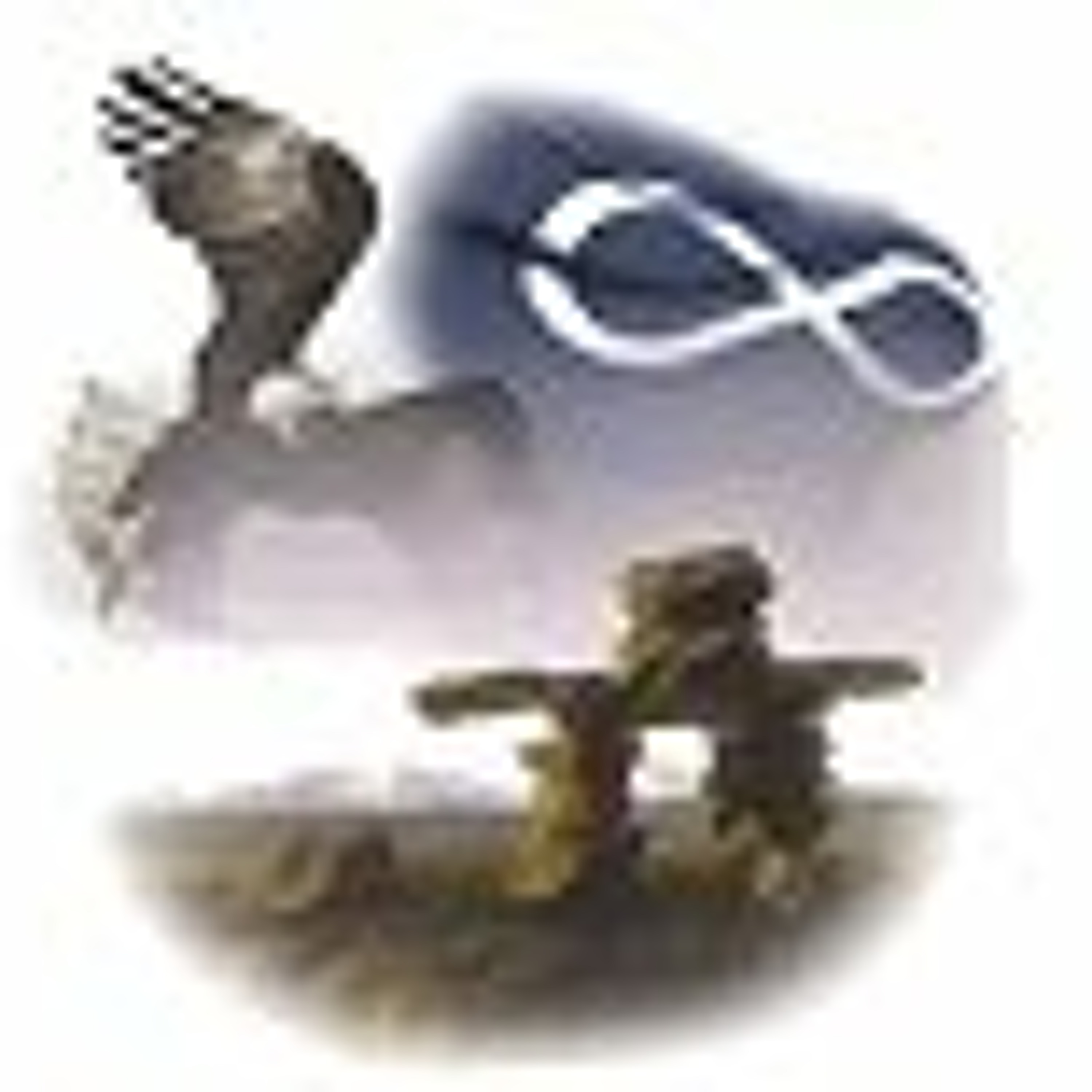 NationTalk