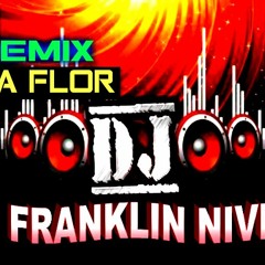 Picaflor - remix de Dj Franklin Nivelo 2013