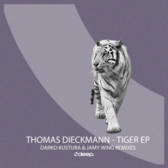 Thomas Dieckmann - Sorry Honey (Original Mix)