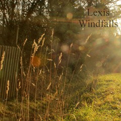 Lexis - Windfalls ('Buy this track' is a free download link)