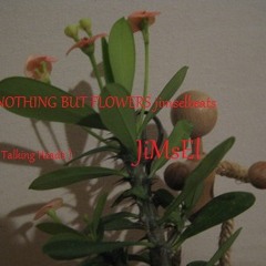 NOTHING BUT FLOWERS      Jimselbeats                 ( talking heads )