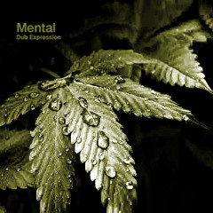 Mental Dub Expression - Raindrops (ambiental version)