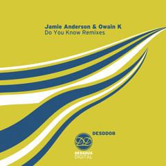 Jamie Anderson & Owain K - Do You Know (Jazz Reprise)