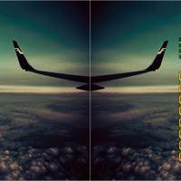 DOSVEC - Flight 2013