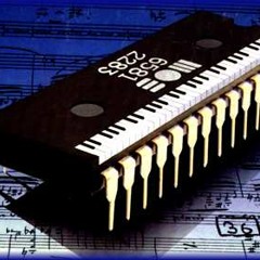Microchip