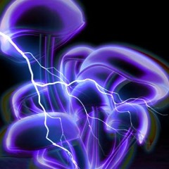 Horor trip(original mix)