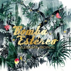 Bomba estero - Pajaros ( Milton Channels Volando Remix  )