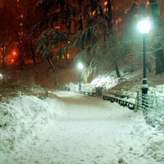 SILVA HAKOBYAN - Gisher