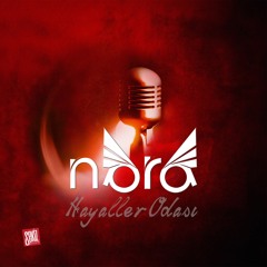 NARA - NE OLUR GİTME AKUSTİK VERSİYON (HALİL ERTEN-SERCAN ÖZCAN DÜET) 2013