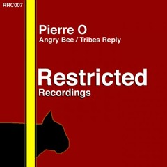 Pierre O - Tribe's Reply (Original Mix)