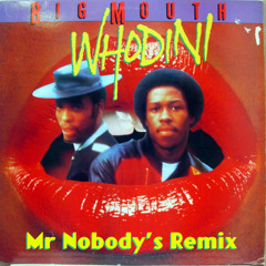 Whodini - Big Mouth (Mr. Nobody's Old School Lecture Remix)