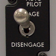 Life Auto-Pilot