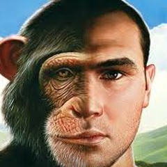 Monkey Brains