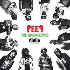 PRO ERA |PEEP the aPROcalypse|Dessy Hinds ft. Nyck Caution|Vinyls|prod by The Entreproducers