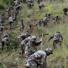 Bolivian Coca Growers