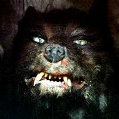 Gmork (Faded Dreams)