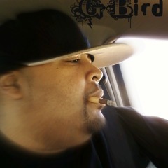 G Bird