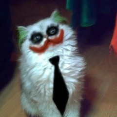 Questionable Meow (Samadhi & Bioteq)
