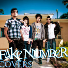 Fake Number - Best Of You (COVER-ACESSO MTV)