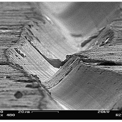 Little House Hippie (David X) - Pandora's Island (1993 Sound Mob Recordings)