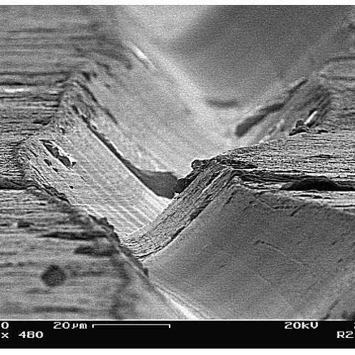 Little House Hippie (David X) - Pandora's Island (1993 Sound Mob Recordings)