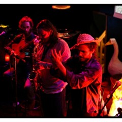 Mr-Rigolitch VS Flex'Orkestar - Petrosnitza - LIVE @ Amperage Grenoble 2010