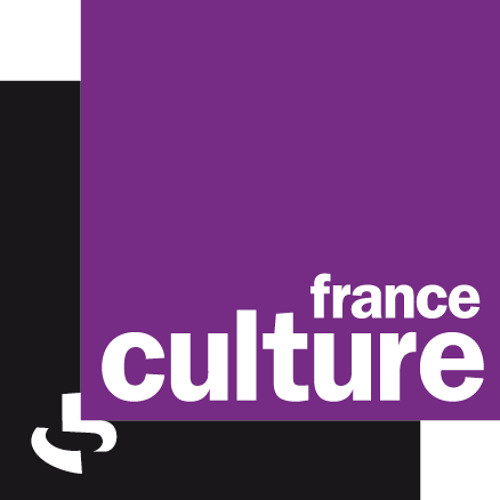 Stream FRANCE CULTURE - La Vignette par Aude Lavigne / interview Julie  Deliquet - Collectif IN VITRO by Formart | Listen online for free on  SoundCloud