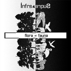 Fauna