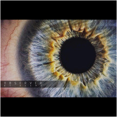 Observer