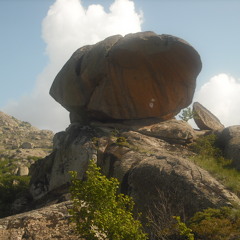 Ballistics - I don't need friends when i've got Steely Dan.