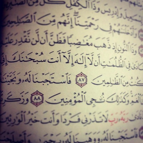 قد أنزل ربي القرآنا .. نورًا للناس وتبيانا  ~