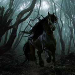 Equus (Two Steps from Hell) - Demo Cover for Contest