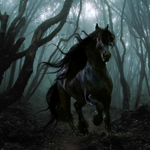 Equus (Two Steps from Hell) - Demo Cover for Contest