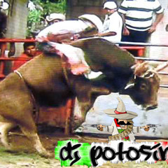 Norteñas Mix 2013