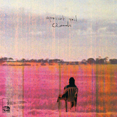 Apricot Rail - "Quarrels" Album Teaser