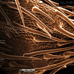 Cave In - "Dark Driving (BBC Session 2002)"