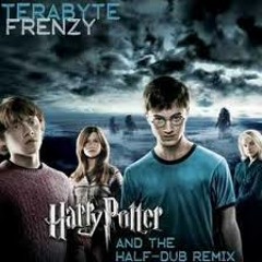 Terabyte Frenzy - Harry Potter (Dubstep Remix)