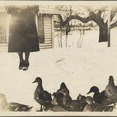 This day is the devil