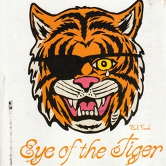 Ukulele cover of "Eye of the Tiger"