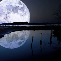 Tranc night Tarabuka