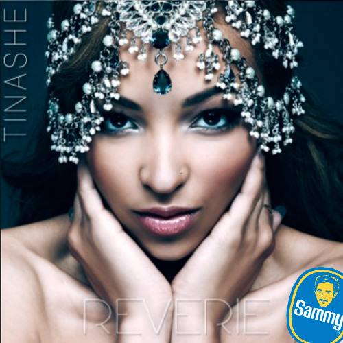 SOFTCORE | Tinashe - Stargazing (Sammy Bananas Remix)