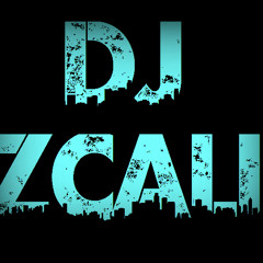 DJ ZCali Dubstep Mashup Project