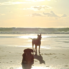 Love Again - Simon Korsak feat. Tara Nielsen