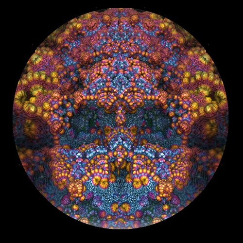 Shamikh  - The Spirit Vine  (forest dark psy)   Visionary Shamanics records UK / 4th comp VA