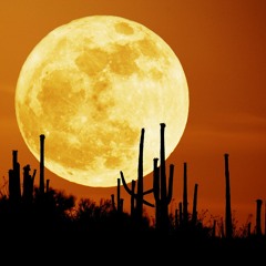 Harvest Moon - Poolside (Luke the Knife Bigger Drum Edit)