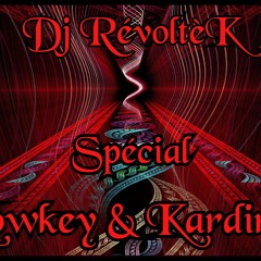 - Spécial Lowkey & Kardinal - Remixed By RévoltèK " Vinyl Only "