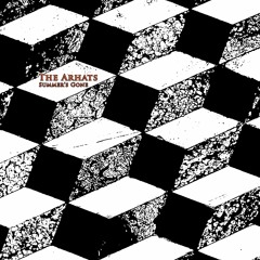 Summer's Gone (Album Version) by The Arhats
