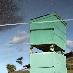 Introduction to Flight